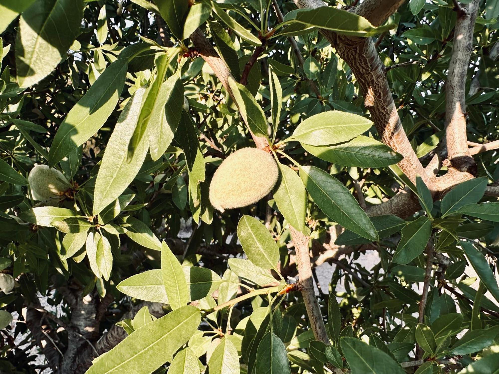 Finca Ocha - Calblanque Los Belones Luaran gambar
