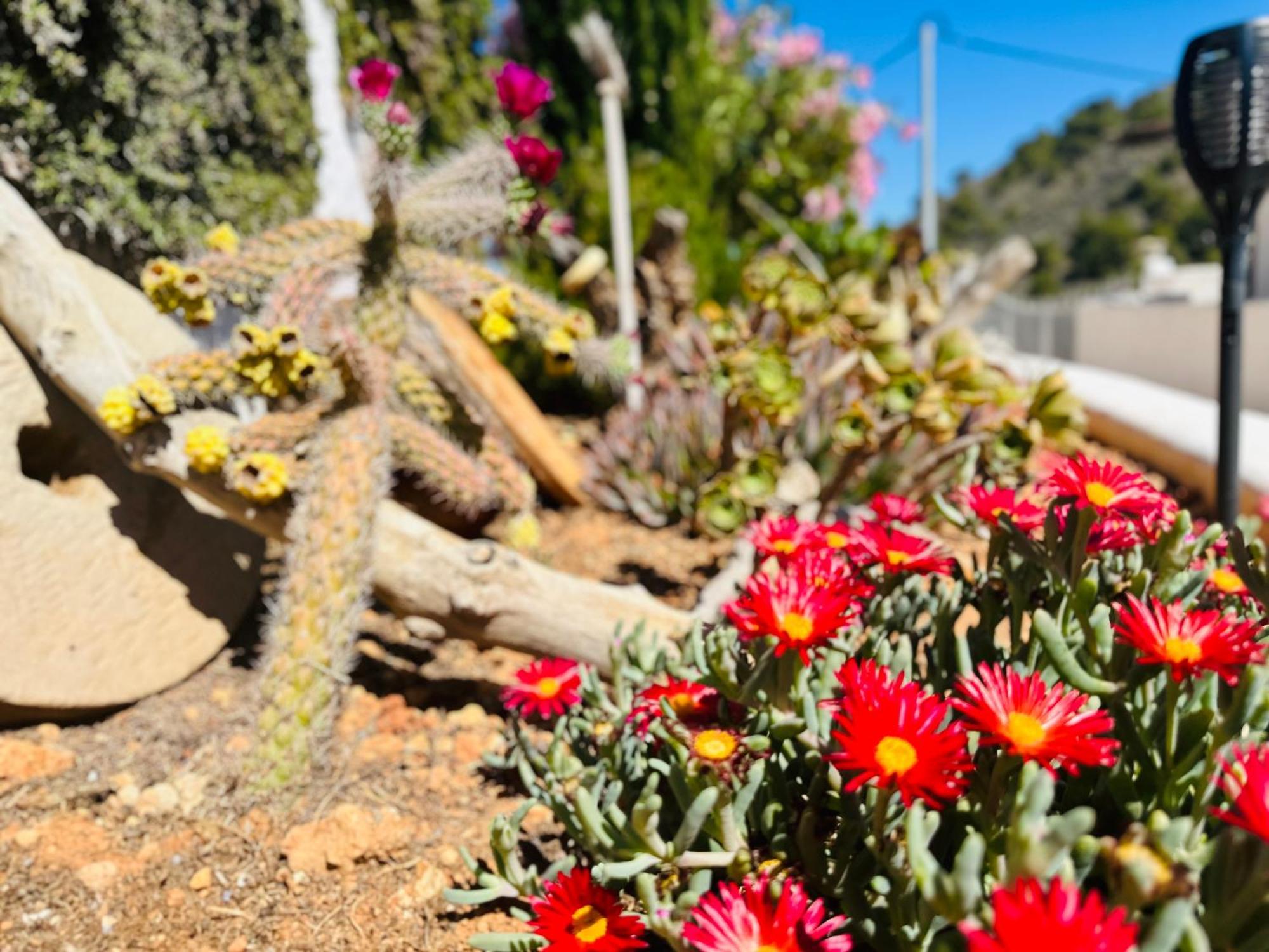 Finca Ocha - Calblanque Los Belones Luaran gambar