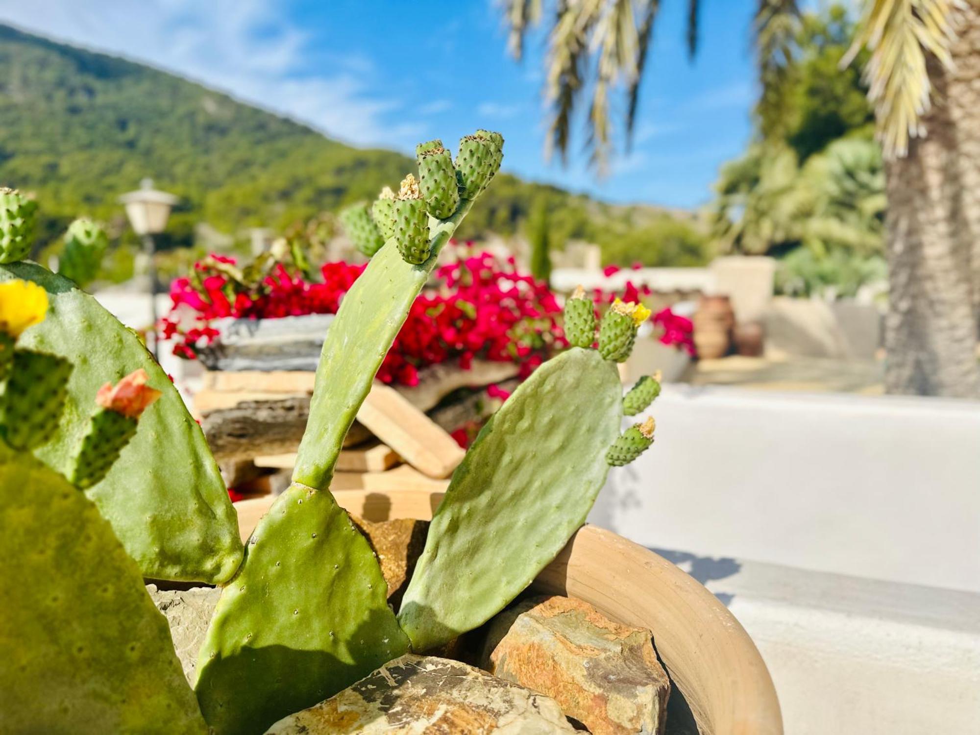 Finca Ocha - Calblanque Los Belones Luaran gambar