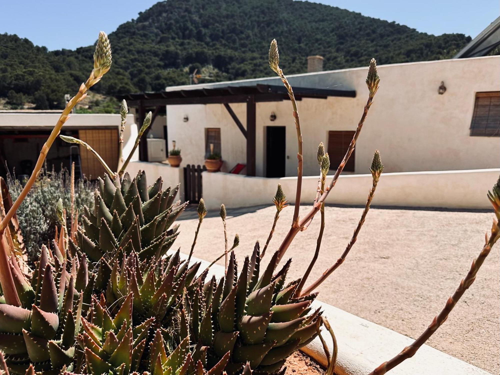 Finca Ocha - Calblanque Los Belones Luaran gambar